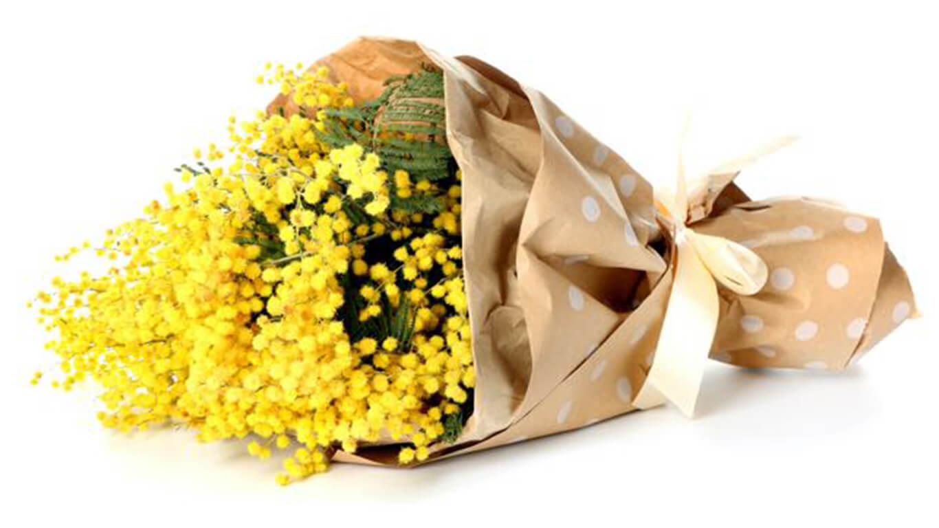 Acacia Flower Gifts