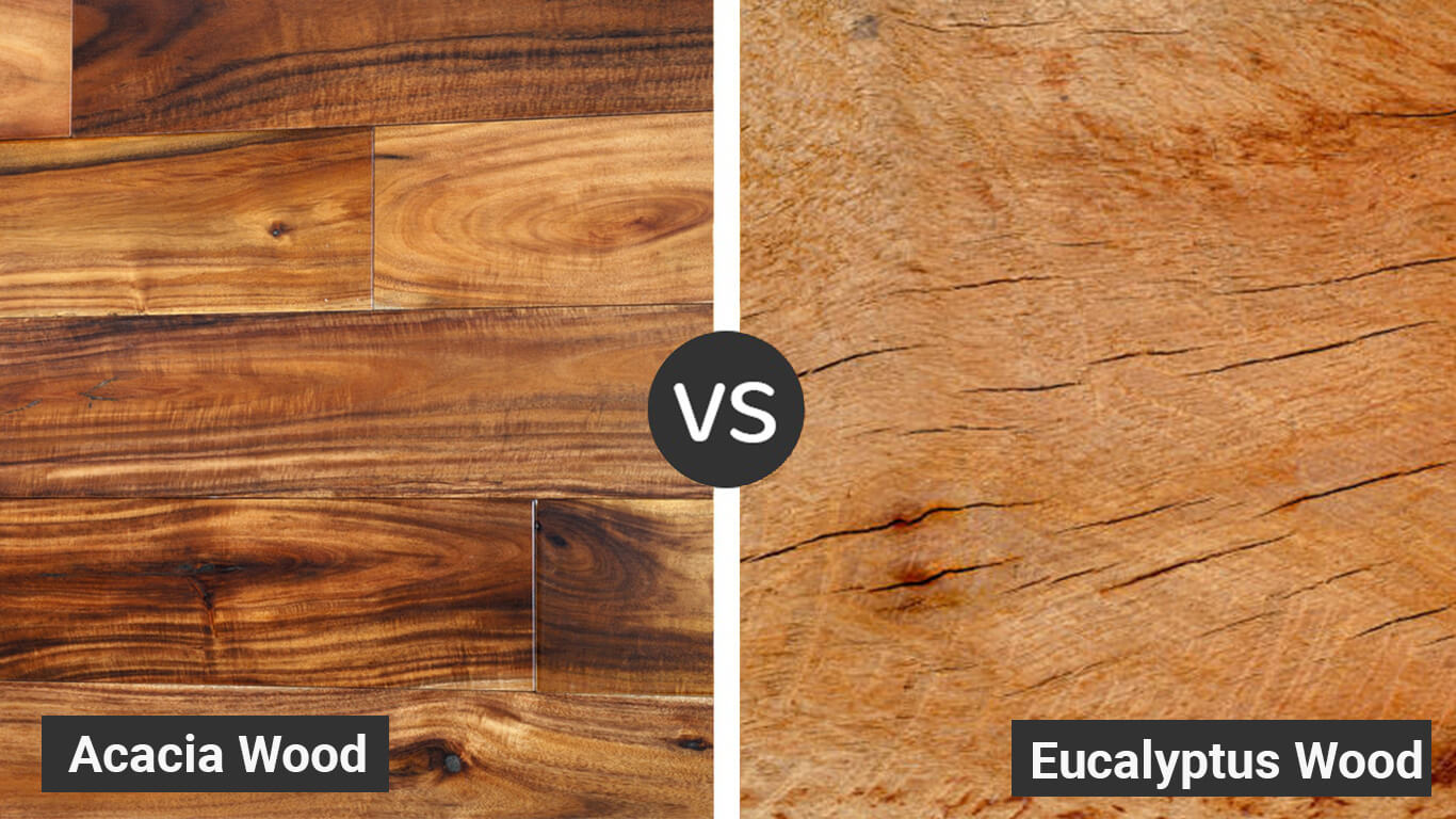 Eucalyptus Wood vs Acacia